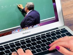 Online Courses In Business Administration For Your Success