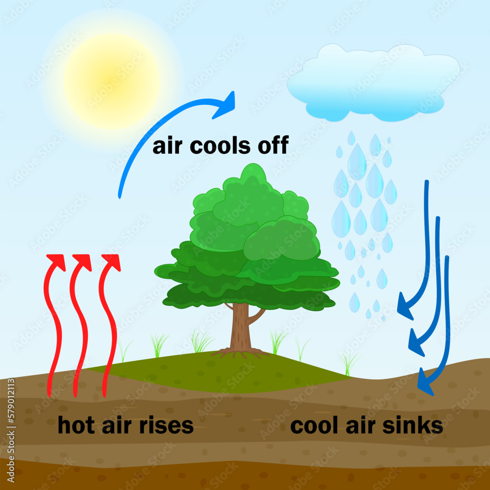 Stockvector Convection process diagram. Warm air rises and cool air ...