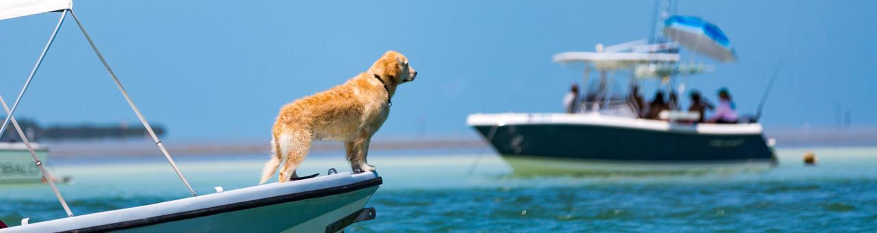 Florida Boat Insurance | W3 Marine